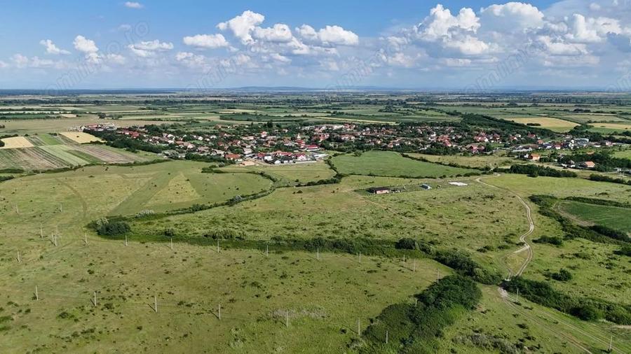 Terenuri zona MOSNITA NOUA - ALBINA . - 3