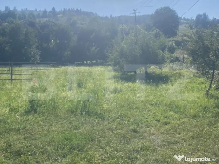 Teren in Doroteia, Plutoni?a, 3880 mp, intravilan - 4