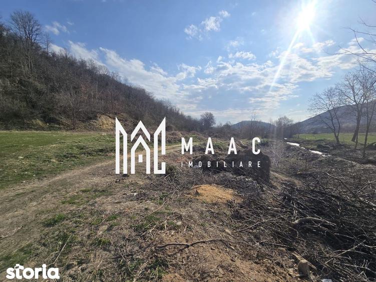 Teren 2317 mp INVESTITIE Sibiel - 4