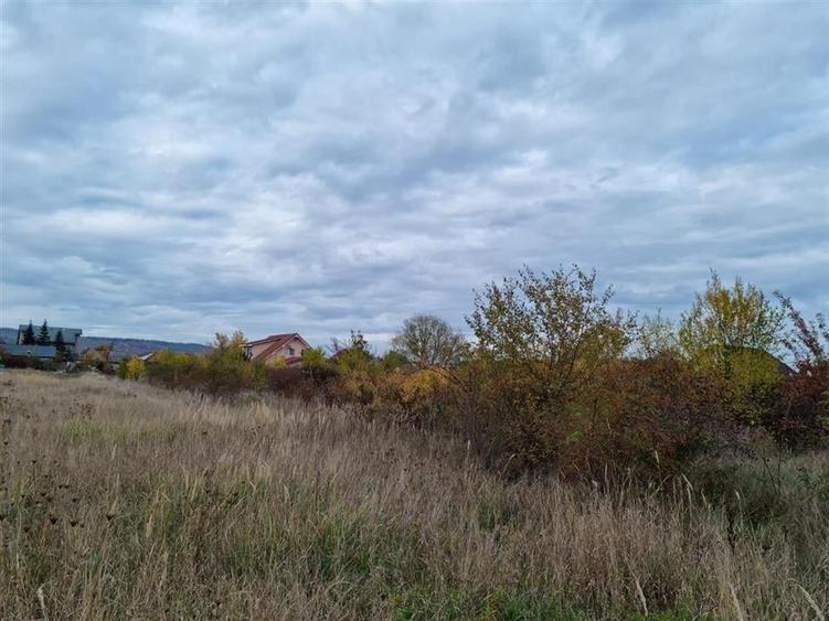 RECO teren intravilan 705 mp Osorhei - 4