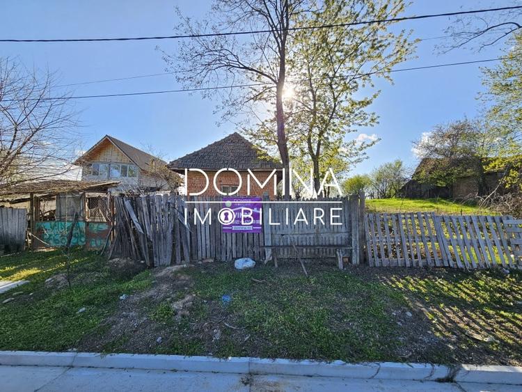 Vanzare teren 4606 mp - Sat Balta - Runcu - la aproximativ 20 km de Targu Jiu - 2