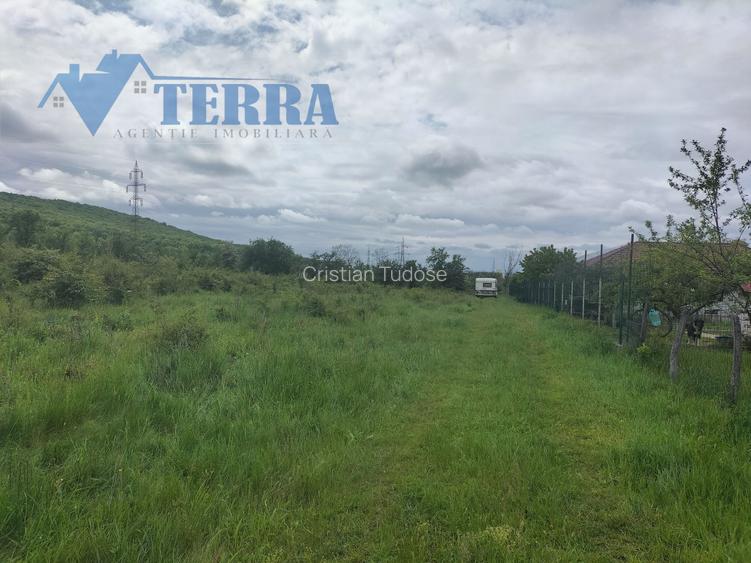De vânzare - 2 loturi teren intravilan în Mioveni, str. Egalității. De vânzare - 2 loturi teren intravilan în Mioveni, str. Egalității.