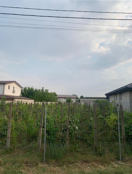 Stefanesti de Jos  Vanzare teren intravilan 3000mp - 9