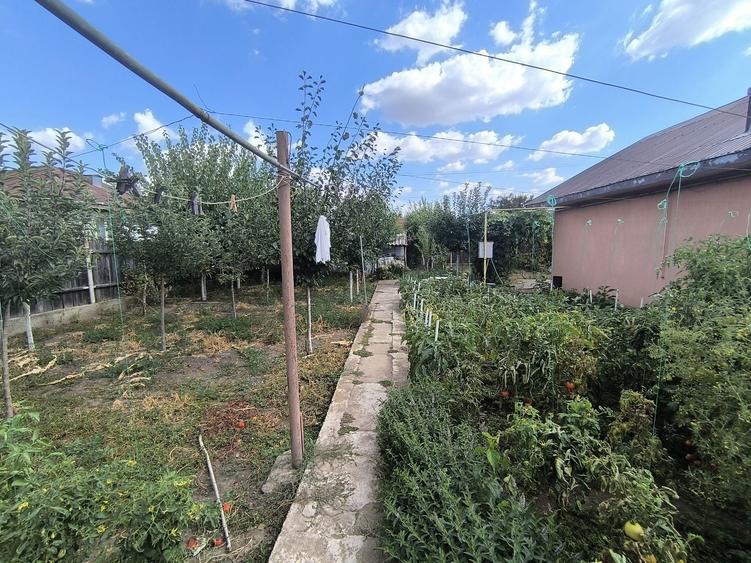 Vand casa in Ciorani - 7