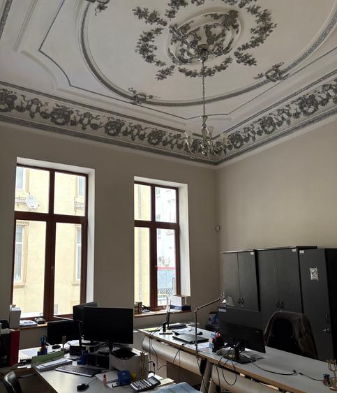 Romana, Rosetti, casa S+P+1+M, 732mp, 14 camere, 1.600.000Euro - 6