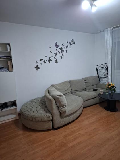 PF.Dau in chirie garsonieta conf 1,29 mp,Manastur,str Peana,etaj3, - 6