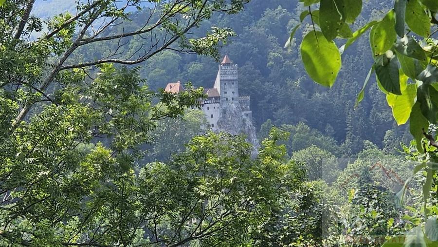 Teren intravilan de vanzare, cu vedere catre Castelul Bran - 1