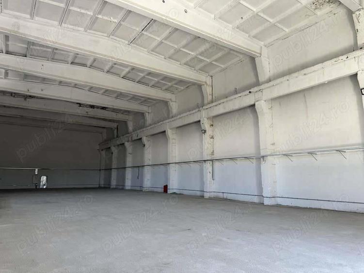 Vanzare Inchiriere Hala in Vaslui - 3