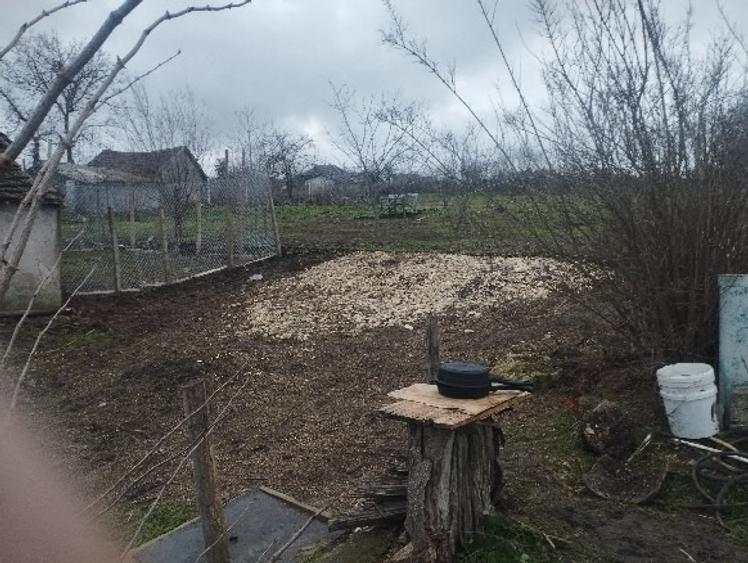 casa 2 camere,vedere la padure,dumbraveni,constanta. - 2