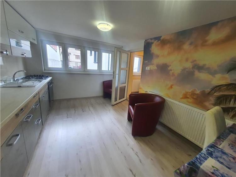 Imobil individual cu doua corpuri de cladire zona Parcului SubArini - 15