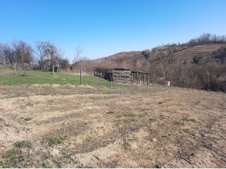 Vand casa la padure - 8