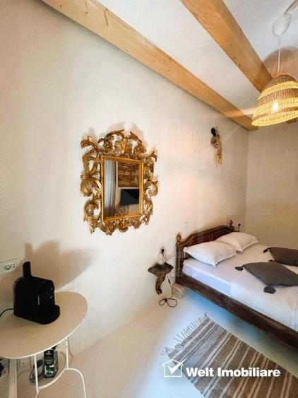 Oportunitate de business, zona ultracentrala, 8 camere - 14