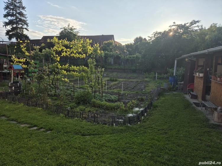 Casa de vanzarea - 3