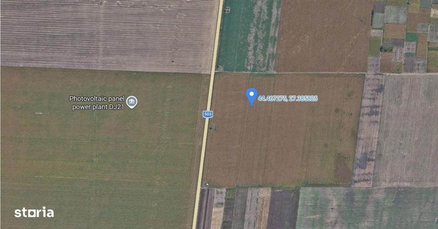 Teren extravilan Dragalina, cota parte 1/2, ID: R2992764 - 7