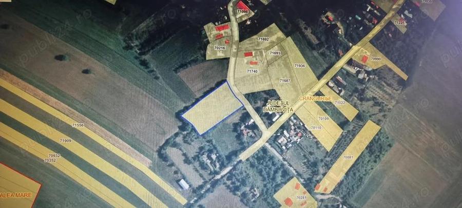 Vand 4000 mp teren intravilan, sat Crangurile de Sus, jud Dambovita - 5
