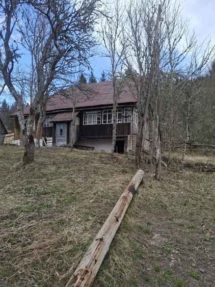 Casa de vanzare in Bucium (Alba) cu teren generos, apr - 3