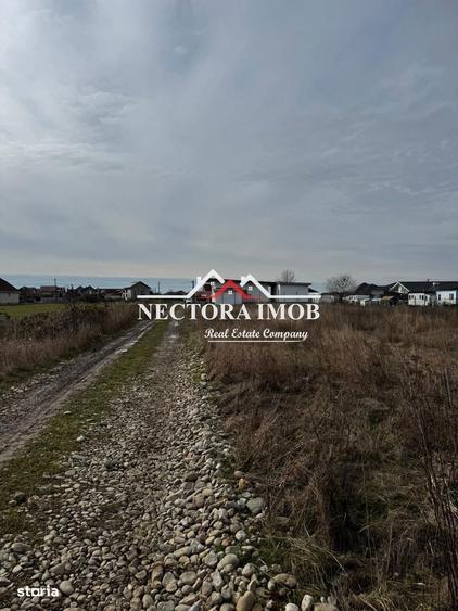 NECTORA IMOB-Teren Intravilan Zona Cihei,512 mp, Utilitati,Str.Privata - 6