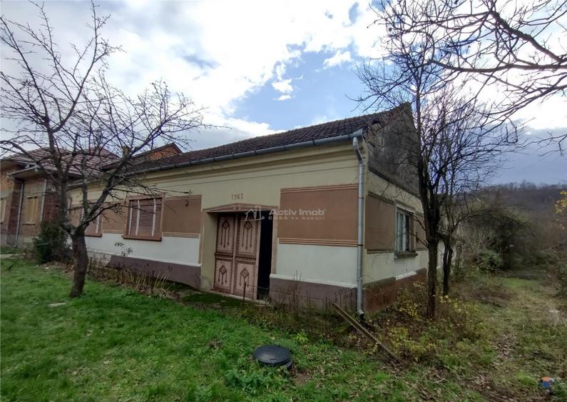 Bogodint, Casa 440mp cu 4 Hectare Teren, Pret Negociabil - 16