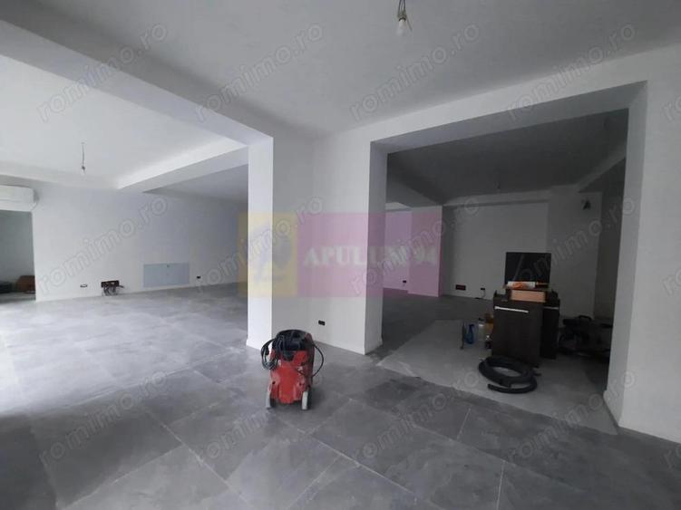 Inchiriere spatiu comercial in zona Marriott-13 Septembrie - 8