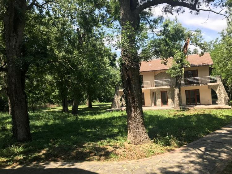 Proprietate inedita cu teren de 4400, si deschidere cu ponton pe Bega - 11