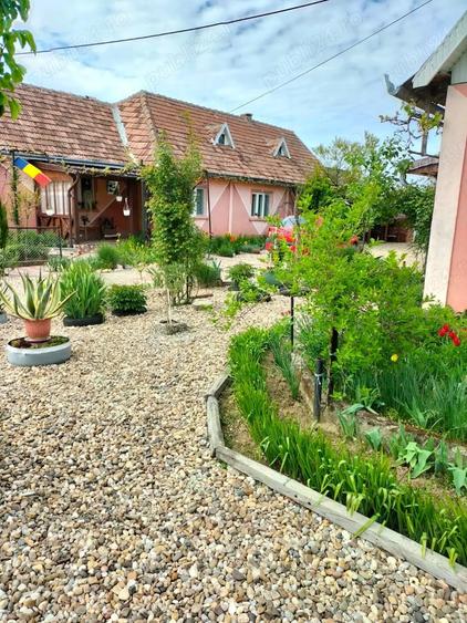 De vinzare casa Baba?e?ti jud Satu mare - 2