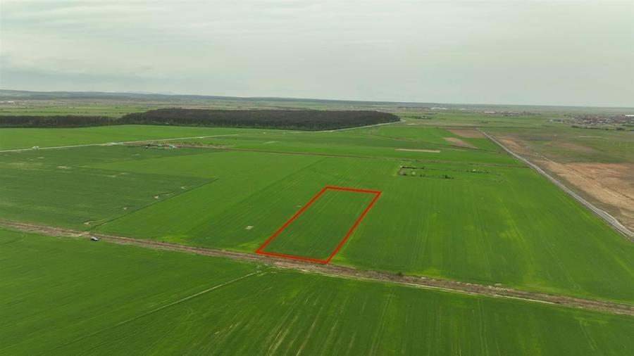 RECO TRREN INTRAVILAN IN NOJORID LANGA AEROPORT - 4