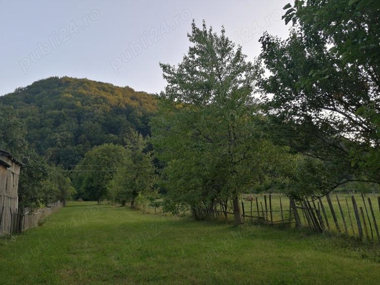 Vand casa ?i teren 2500 mp la munte in Valea Uzului. - 5