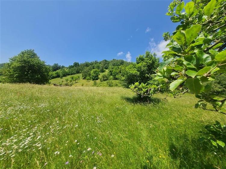 Teren 1.450 mp intravilan, la DN, cu priveliste de carte postala, Bran, Moieciu, - 10