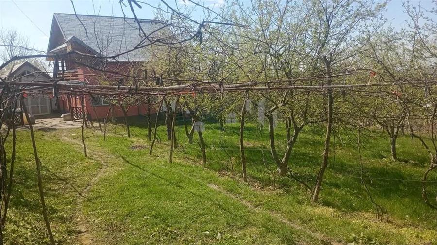 Pietrarie Vila P+1 s=164mp garaj beci teren 2000mp livada vie zona verde - 5