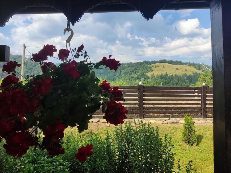 Pensiune si casa cu teren in Bucovina - 7