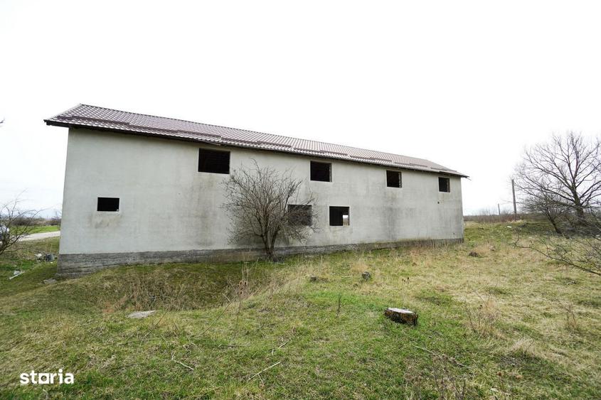 Investitie! Imobil in Podul Olt, 332mp si teren 1271mp - 9