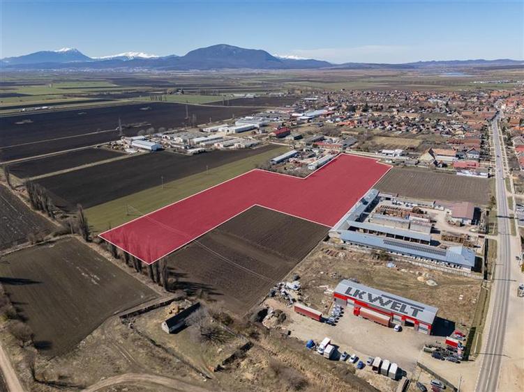 FILM! 30.000mp teren intravilan, Central, Halchiu, Brasov - 9