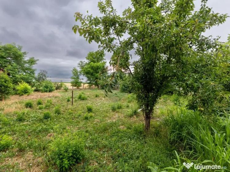 Casa cu 3 camere de vanzare, renovata la gri, teren 21... - 4