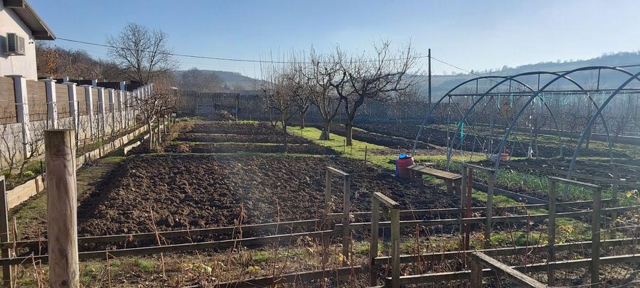 Teren intravilan 650mp - 6