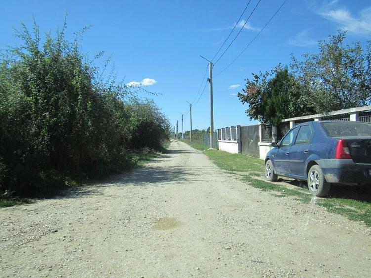 Domnesti Teghes-Padurarului - 11