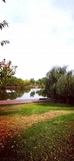 Corbeanca Lac Vila P 1, poton, teren 1500mp - 7