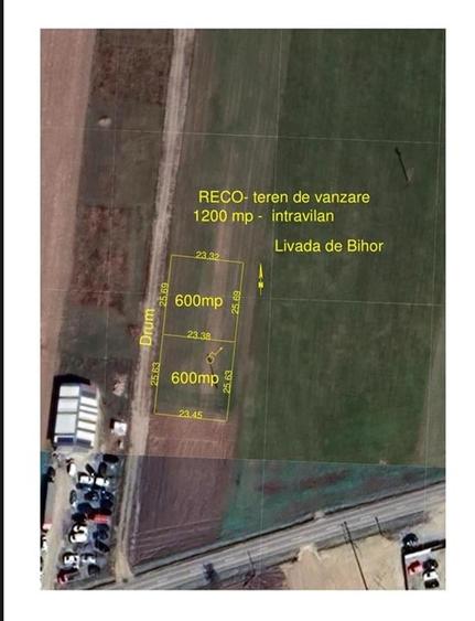 RECO Teren intravilan 1200mp -Livada de Bihor - 1