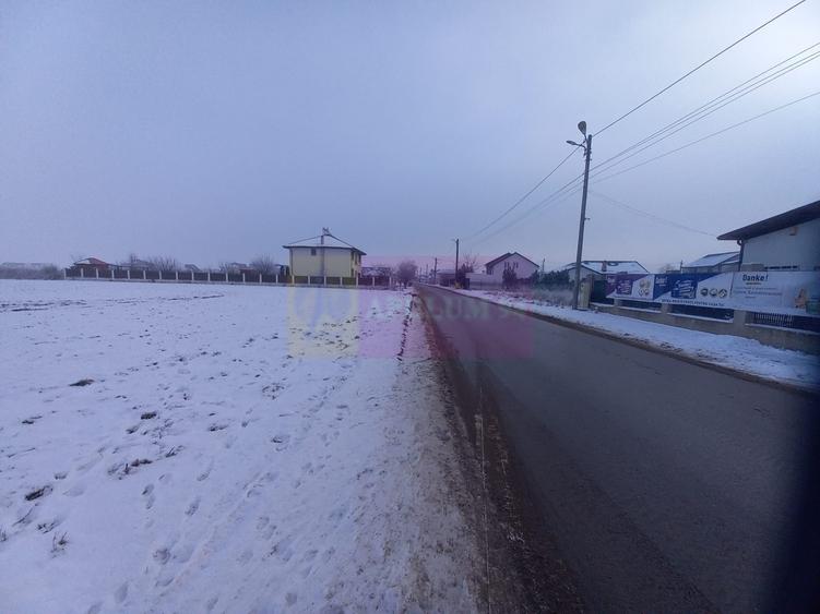 Teren Domnesti de vanzare - 7