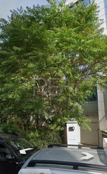 Teren intravilan de vanzare – Grozavesti | 211 mp - 1