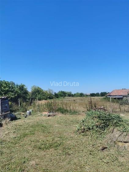 RECO Teren intravilan in Paleu la doar  22euro/mp