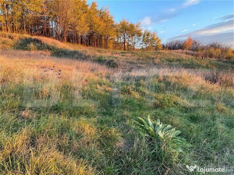 Teren Intravilan 1670 mp, in zona-Copou, Viticultori - 1