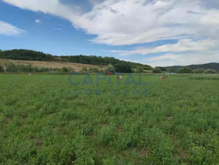 Comision %! Teren intravilan 22 400 mp, suprafata plana, sat Fundatura Cluj - 4