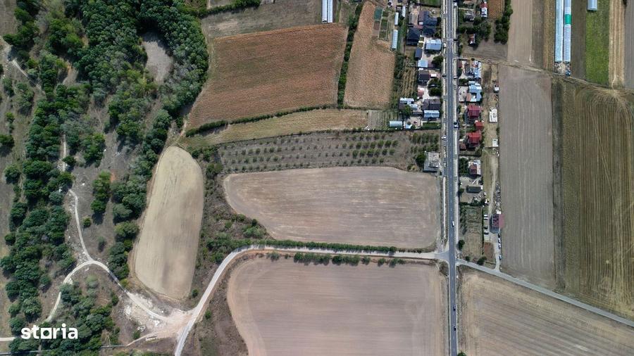 Vanzare teren 9654 mp, deschidere 27m, comuna Dobra, sat Dobra - 4