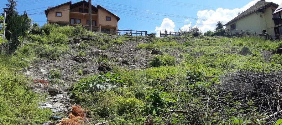 Teren in Bu?teni, 500 mp - 3