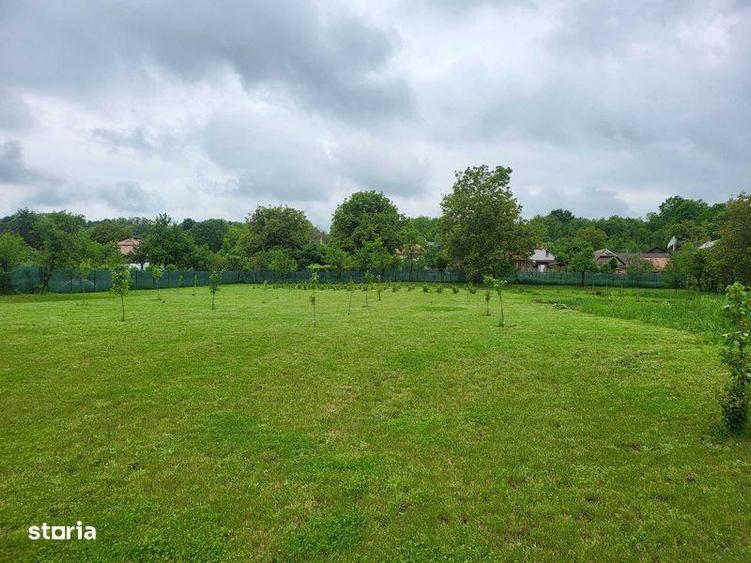 Teren Stremt str principala nr 113 - 2