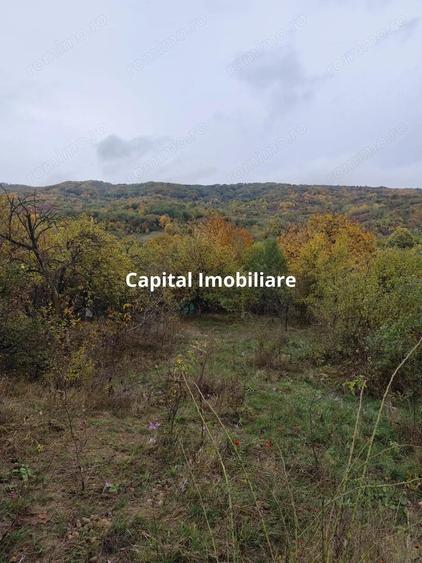 Casa Veche, Central Drajna de Jos 5000 mp - 2