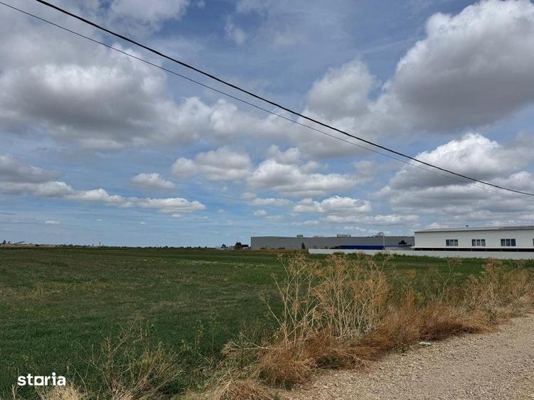 Teren Extravilan Episcopia - 1