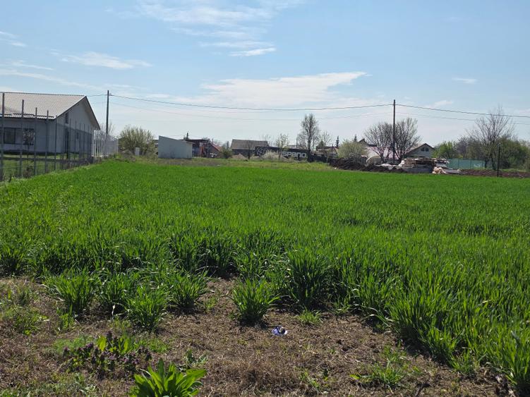 Teren de vanzare in Ciolpani - 1