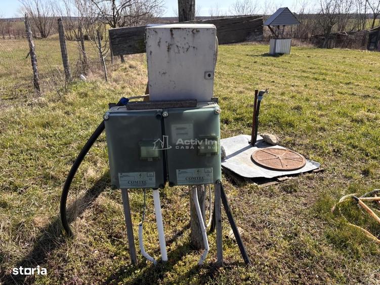 Domeniu cu lacuri de pescuit - cabane si livada - Oportunitate rara l - 7