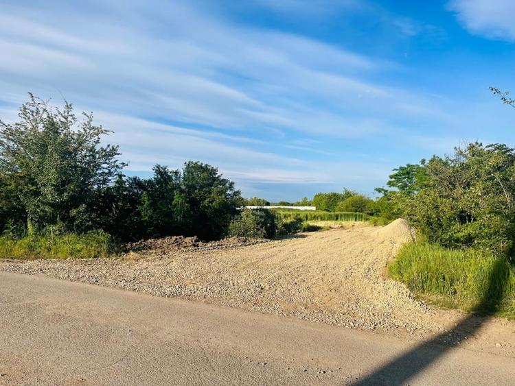 TEREN INTRAVILAN |  1000 mp | CORBEANCA | TAMASI | PADURE | - 1